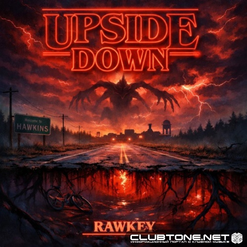 Diana Ross - Upside Down (Rawkey Remix)