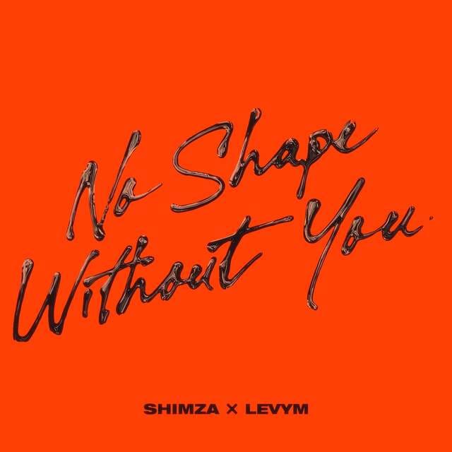 Shimza, LevyM - No Shape Without You (Extended Mix)
