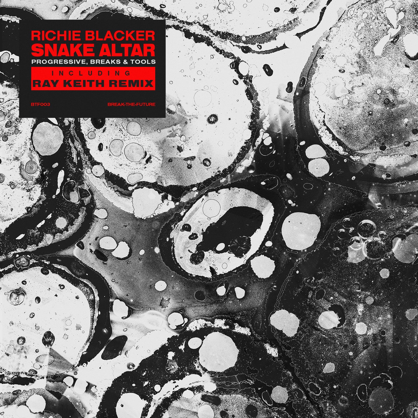 Richie Blacker - Snake Altar (Extended Mix)