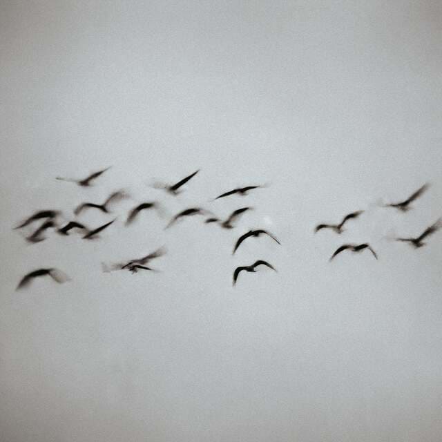 TWO LANES, Nohr - Sign (Revision) (Extended Mix)