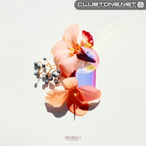 Delaitech, Seven24 - Hand in Hand (Original Mix)