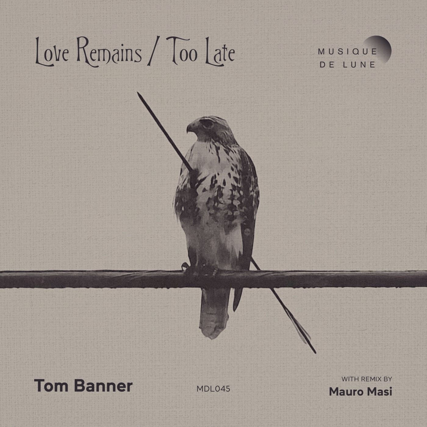 Tom Banner - Too Late (Original Mix)