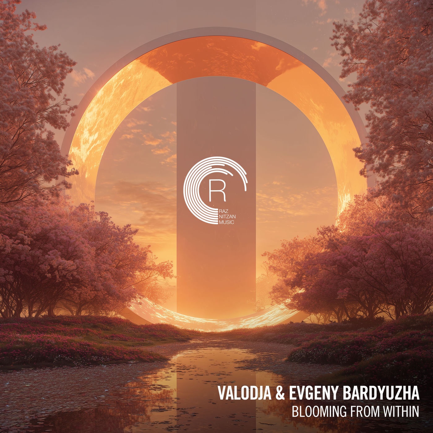 Valodja, Evgeny Bardyuzha - Blooming From Within (Extended Mix)