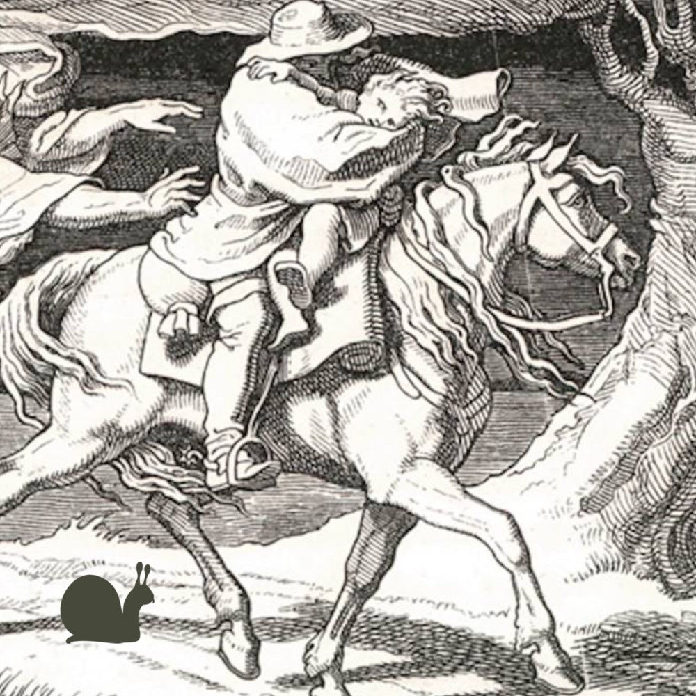 Håns vøm Schneggeloch - Erlkönig