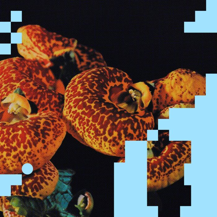 AFFKT - Mapa (Original Mix)