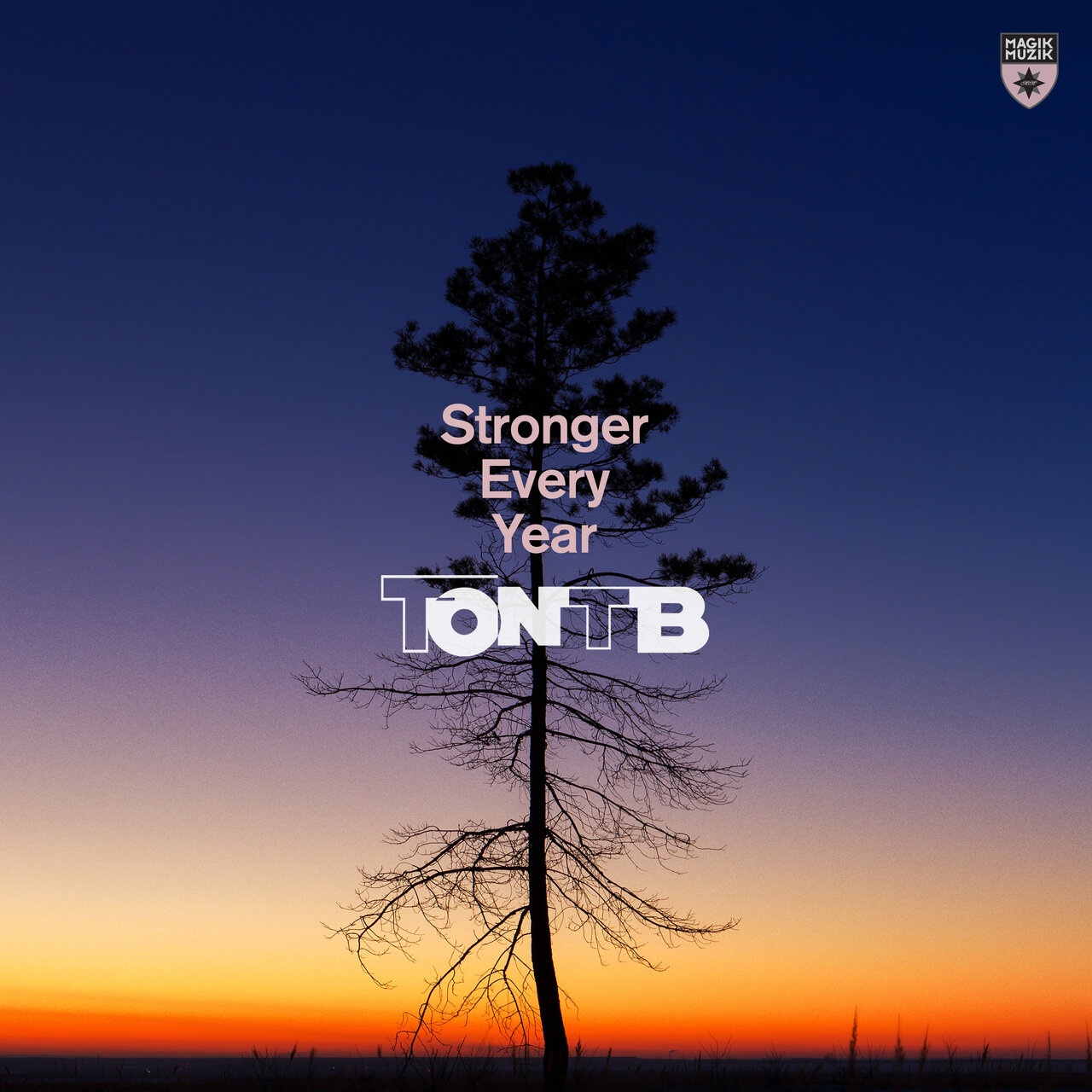 Ton TB - Stronger Every Year (Extended Mix)