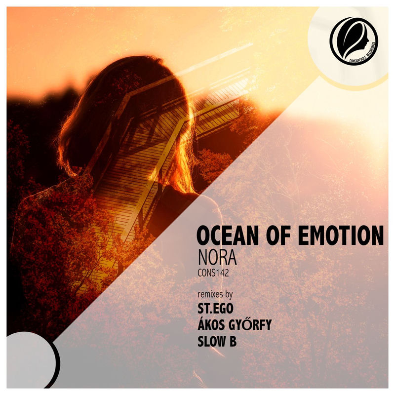Ocean of Emotion - Nora (Slow B Remix)
