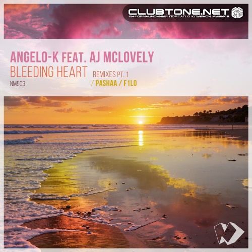 Angelo-K feat. AJ Mclovely - Bleeding Heart (Pashaa Remix)