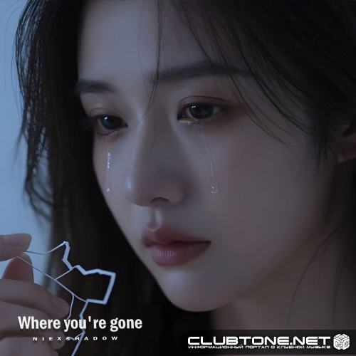 NiExshadow - I Can't Fix My Heart