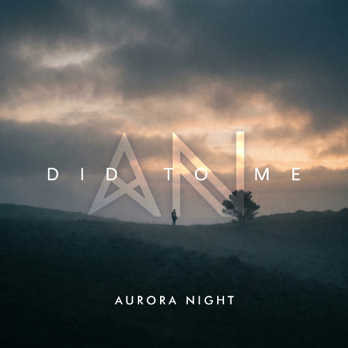 Aurora Night - Did To Me (Original Mix)