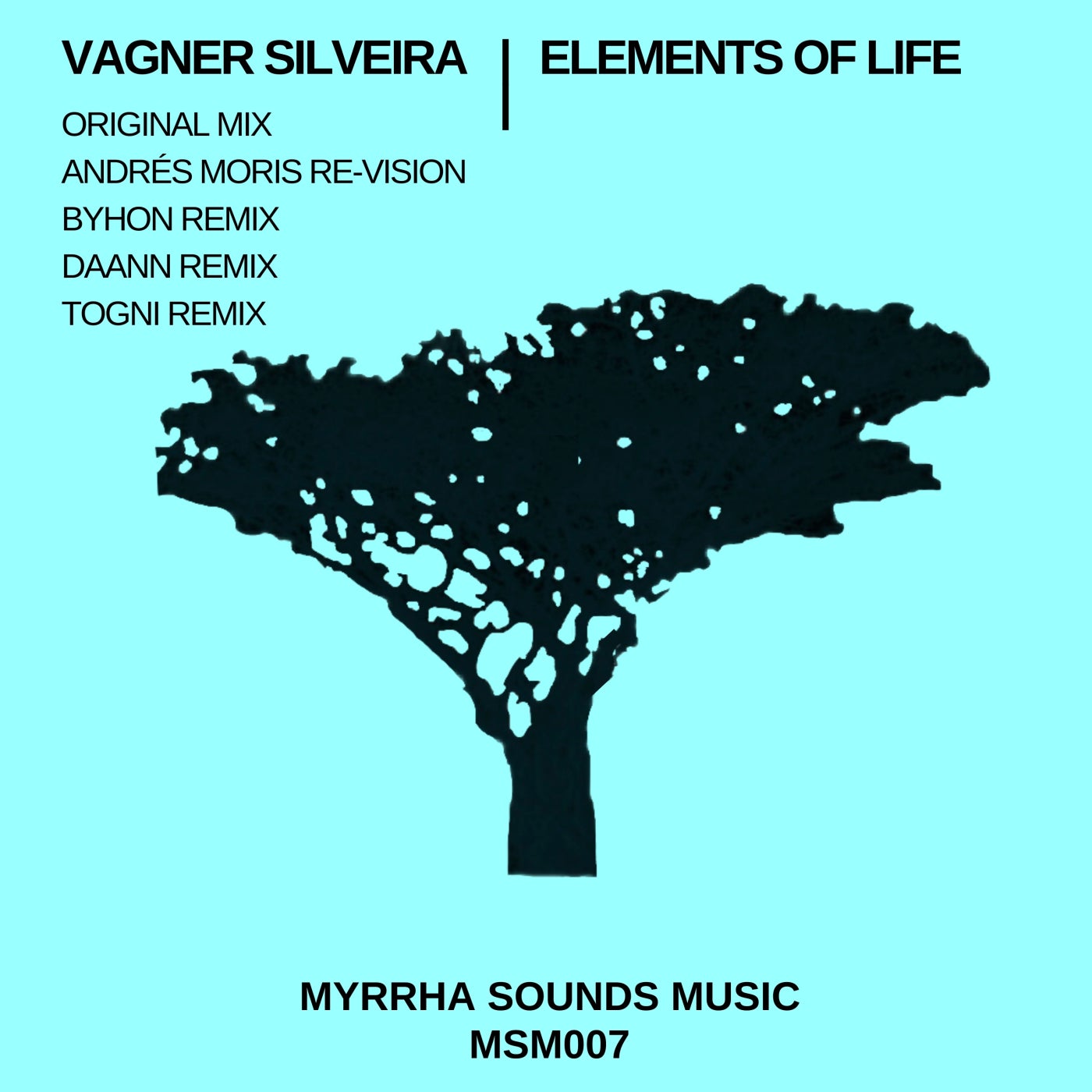 Vagner Silveira - Elements of Life (DAANN Remix)