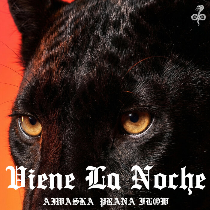 Aiwaska, Prana Flow - Viene La Noche (Original Mix)