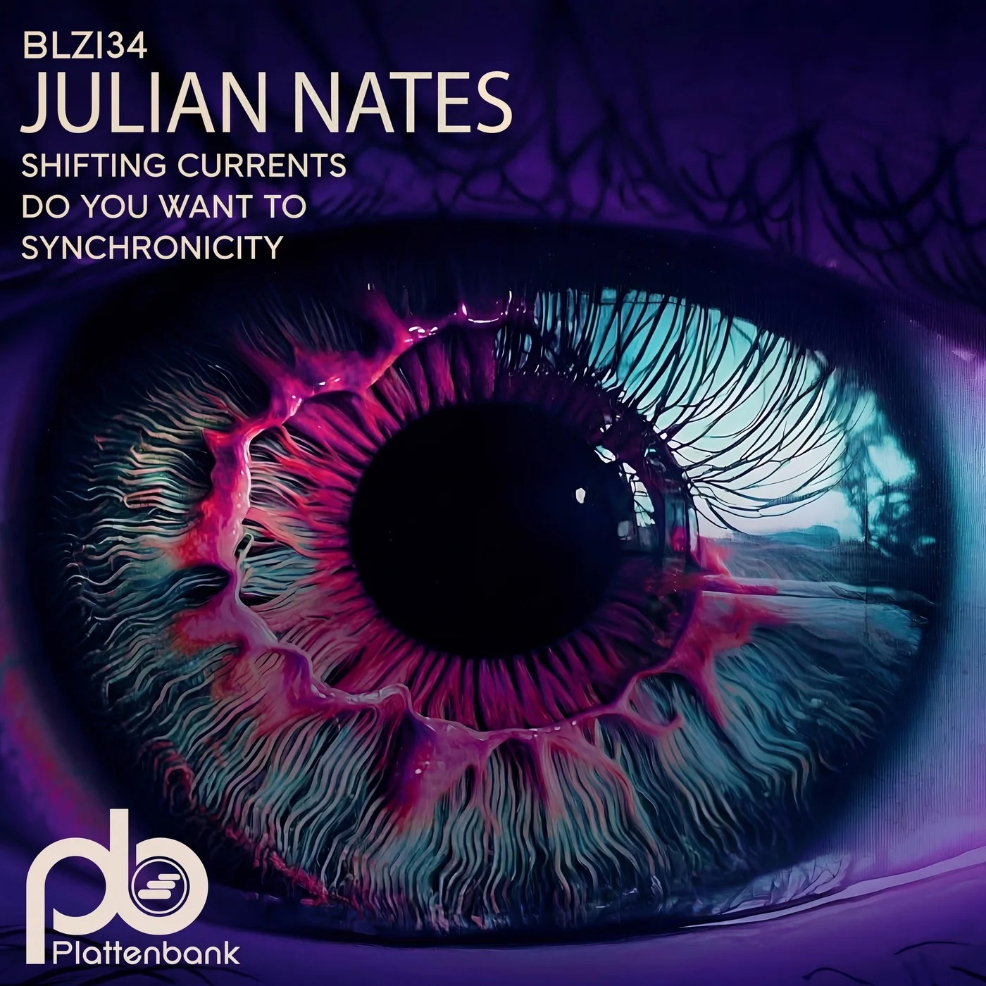 Julian Nates - Do You Want To (Original Mix)