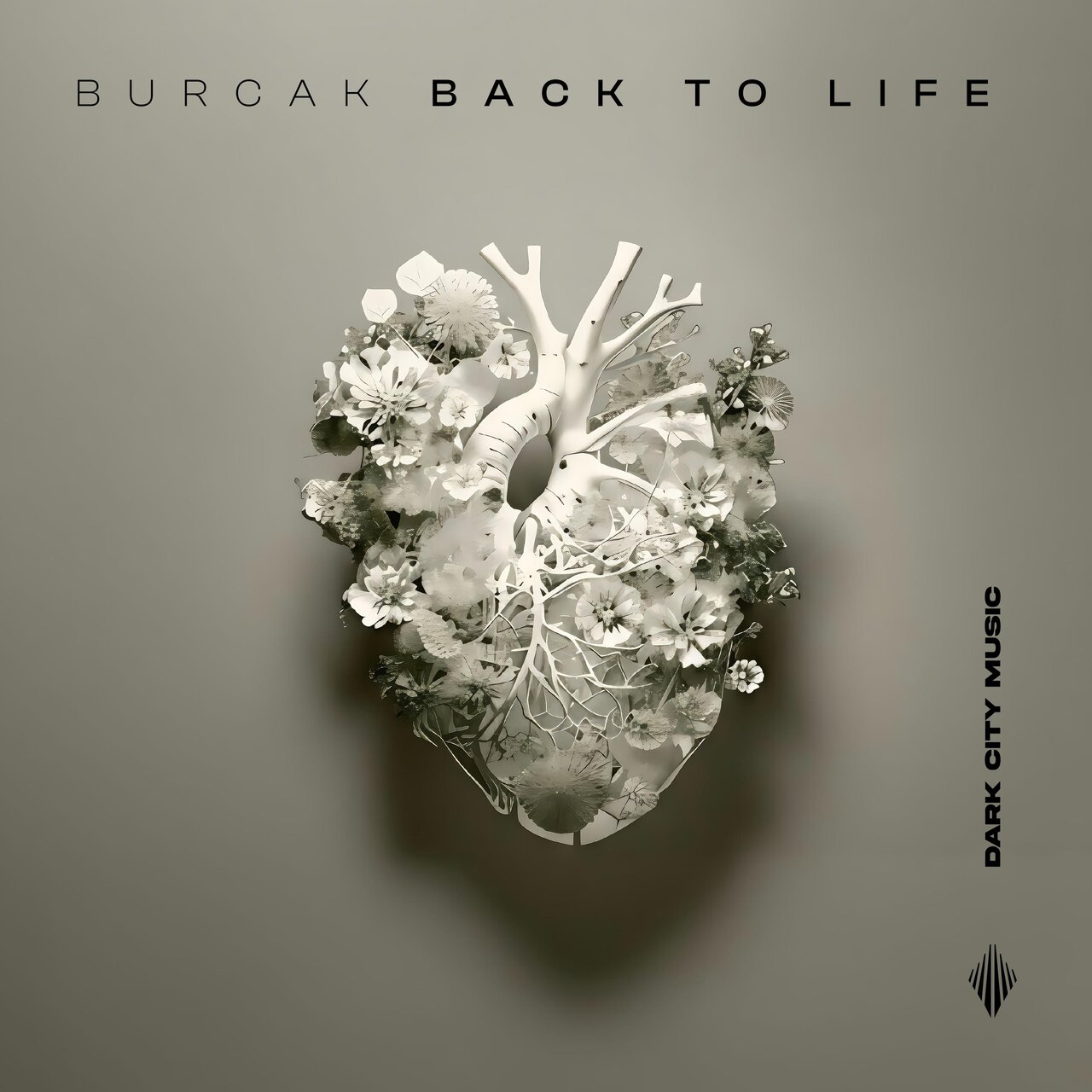 Burcak - Back To Life (Original Mix)