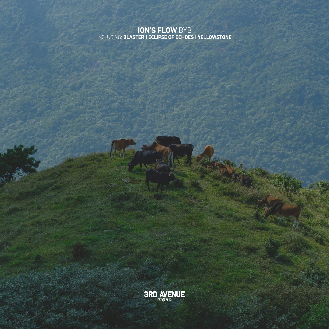 Ion's Flow - Eclipse of Echoes (Original Mix)