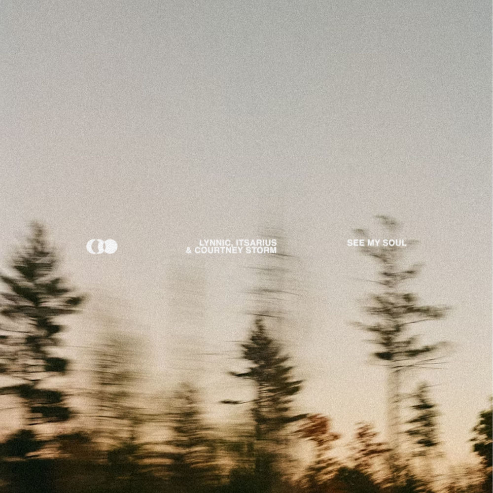 Срезаны частоты, Удалить!Lynnic, ItsArius, Courtney Storm - See My Soul (Extended Mix)