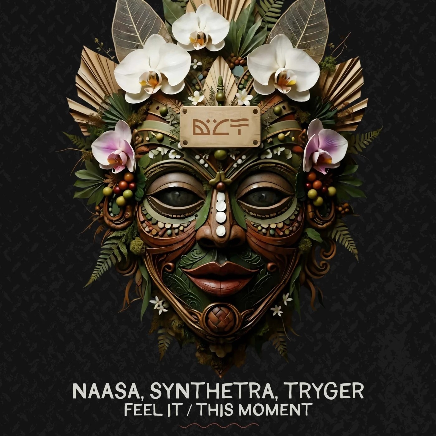NAASA, Synthetra, Tryger - Feel It (Extended Mix)