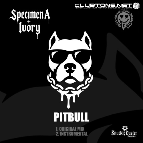 Specimen A & Ivory - Pitbull (Original Mix)