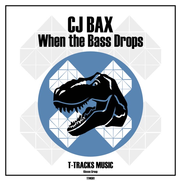 CJ BAX - When the Bass Drops (Original Mix)