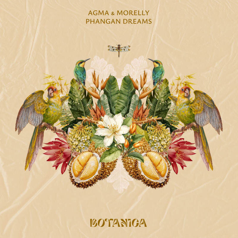 Morelly, AGMA - Phangan Dreams (Original Mix)