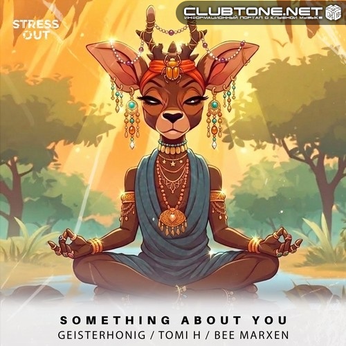 Tomi H, GeisterHonig, Bee Marxen - Something About You (Extended Mix)