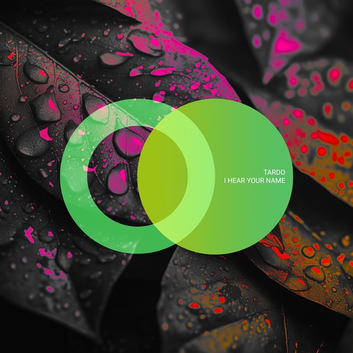 TarDo - I Hear Your Name (Original Mix)