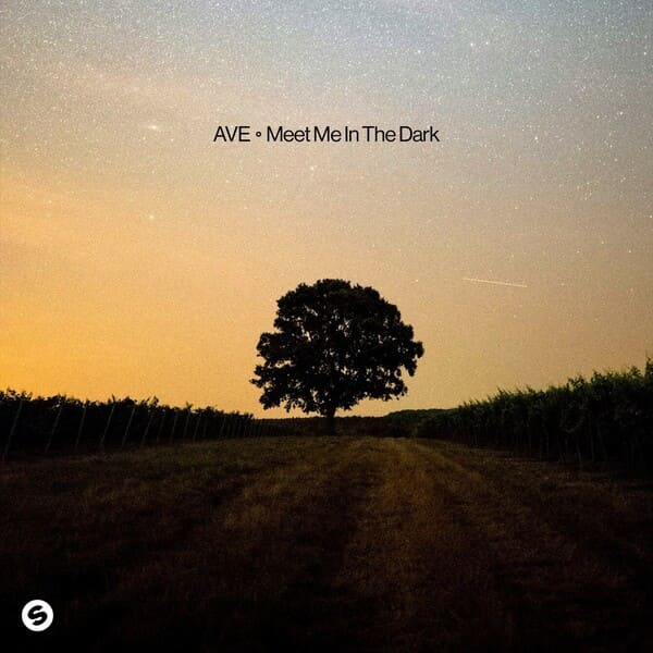 AVE - Meet Me In The Dark (Extended Mix)