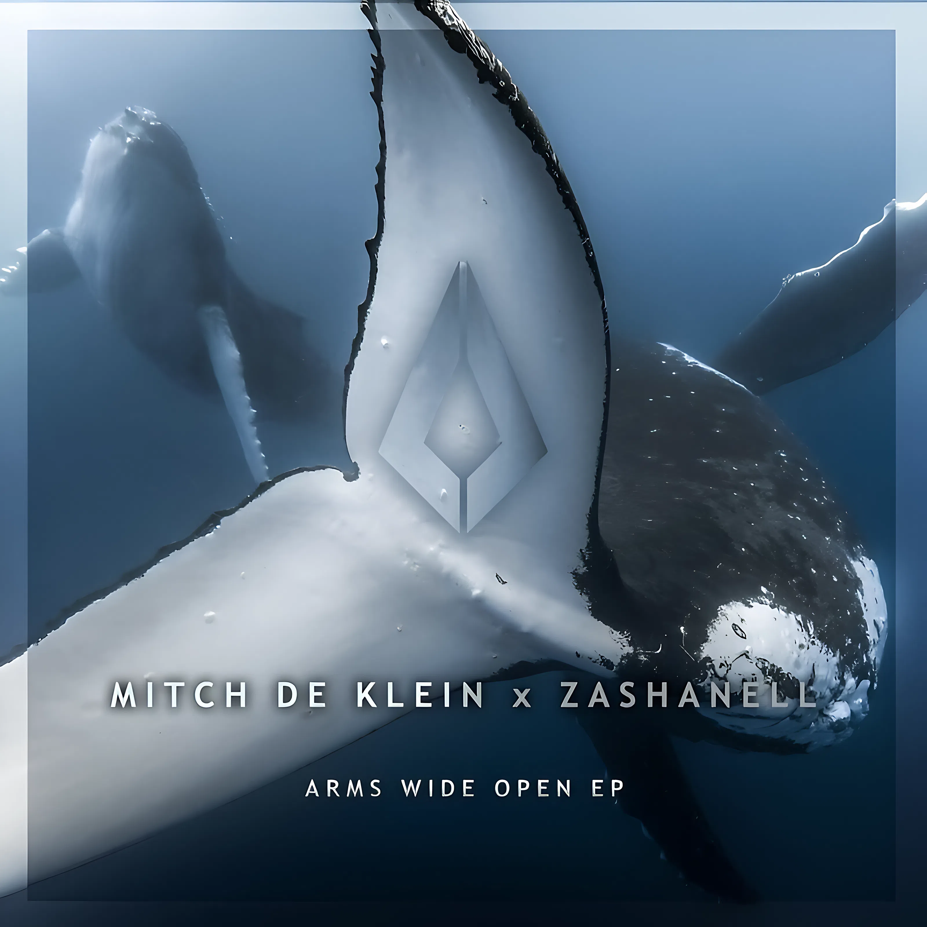 Mitch De Klein, Zashanell - Arms Wide Open (Extended Mix)