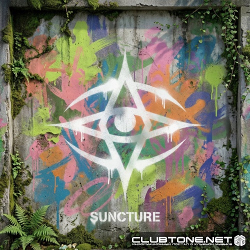 SUNCTURE & FunkT!de - Hold It Right There (Extended Mix Version)