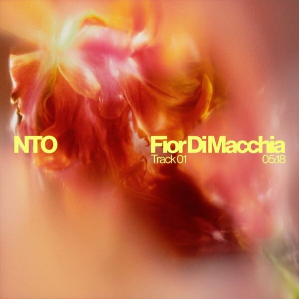 NTO (FR) - Fior Di Macchia (Original Mix)