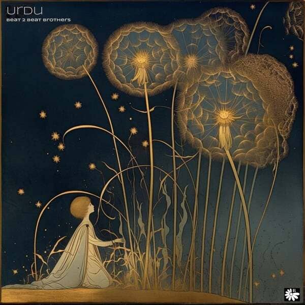 Beat 2 Beat Brothers - Urdu