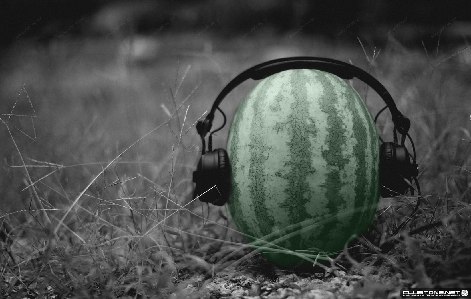 watermelon in ear-phones  